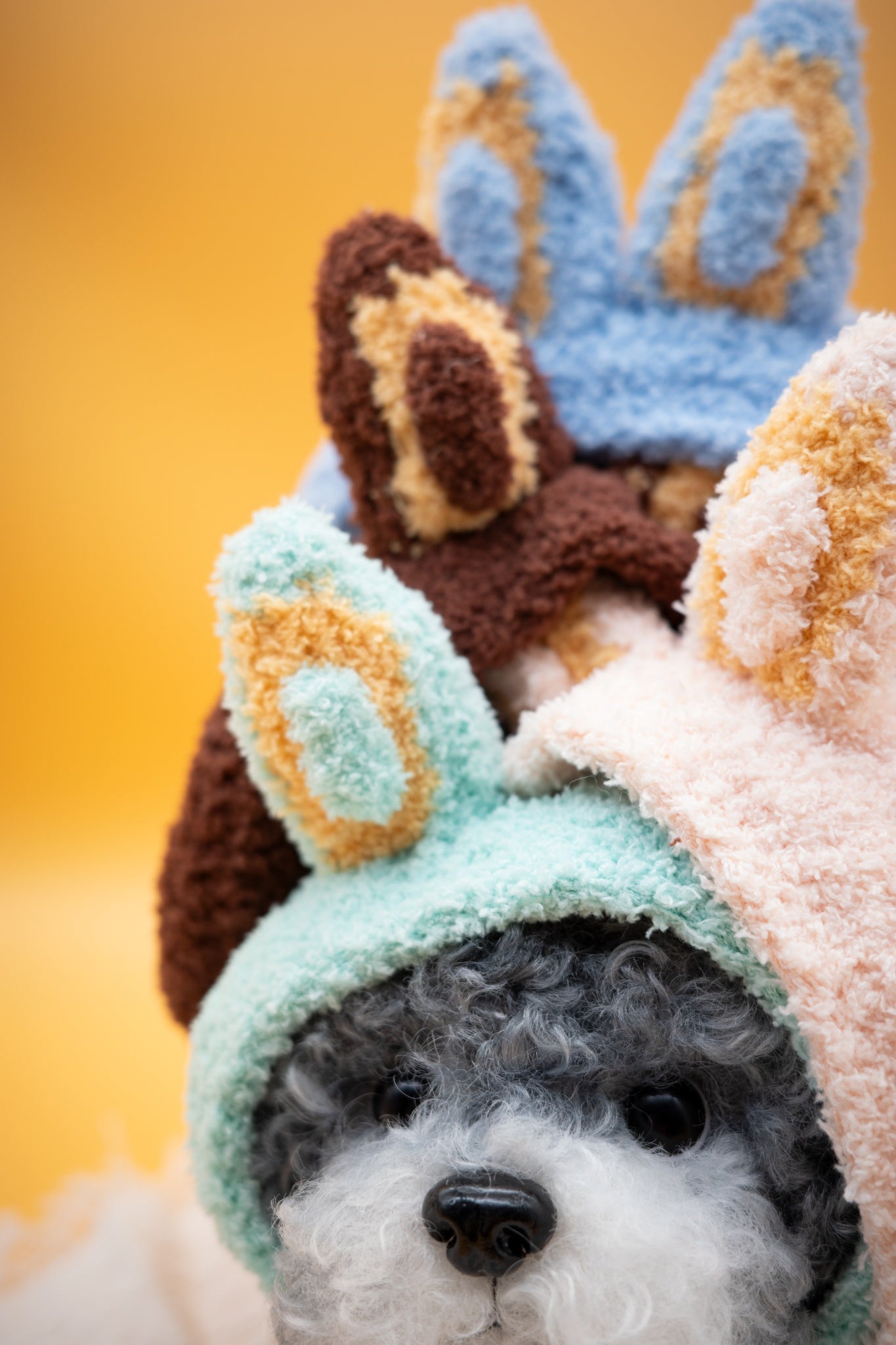 Mysterious Forest Fuzzy Ears