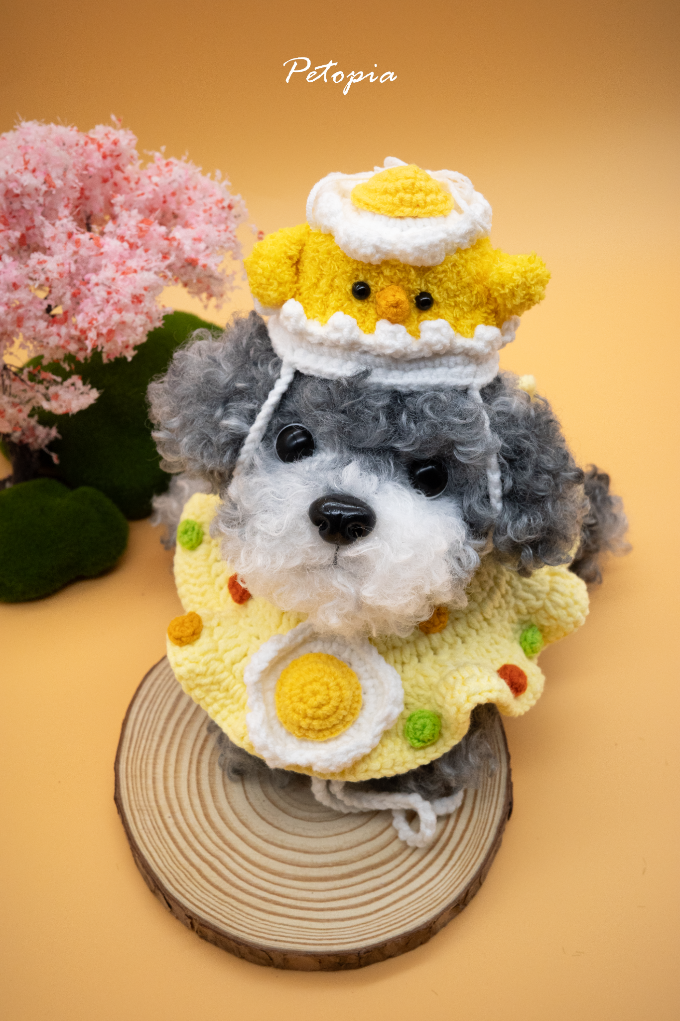 Chick Hat & Sunny Side up Egg Fried Rice Set