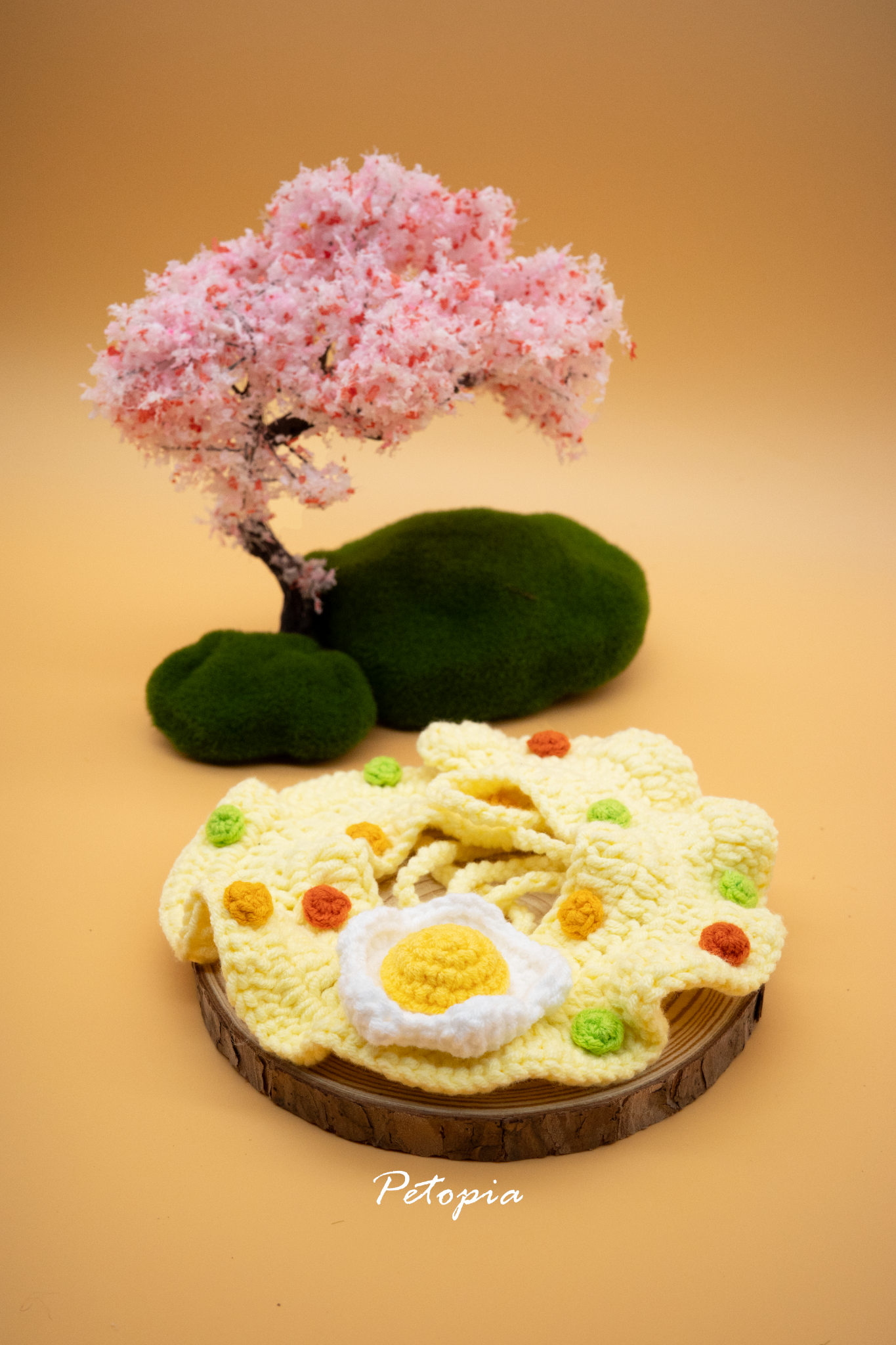 Sunny Side up Egg Fried Rice Bib