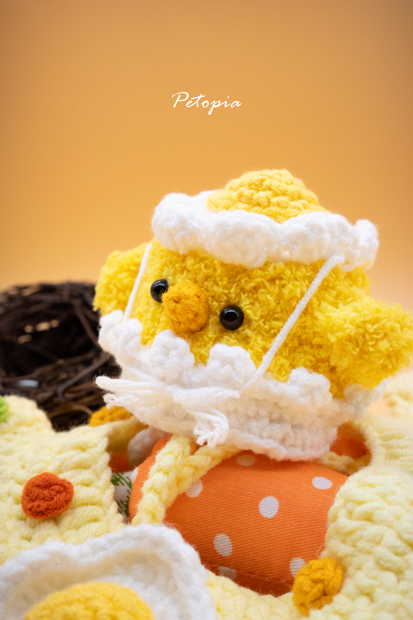 Chick Hat & Sunny Side up Egg Fried Rice Set