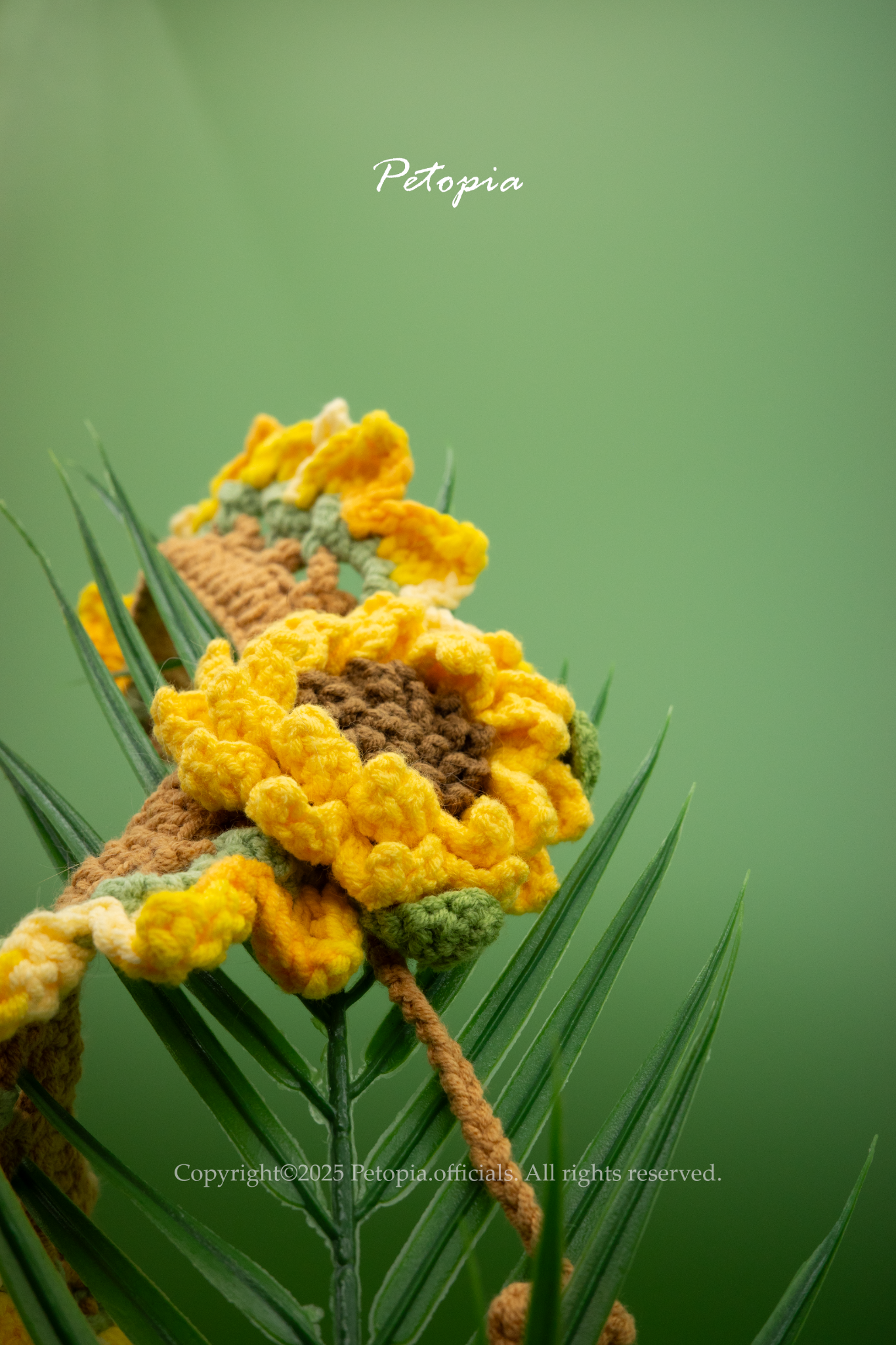 Sunflower Sunshine Bib