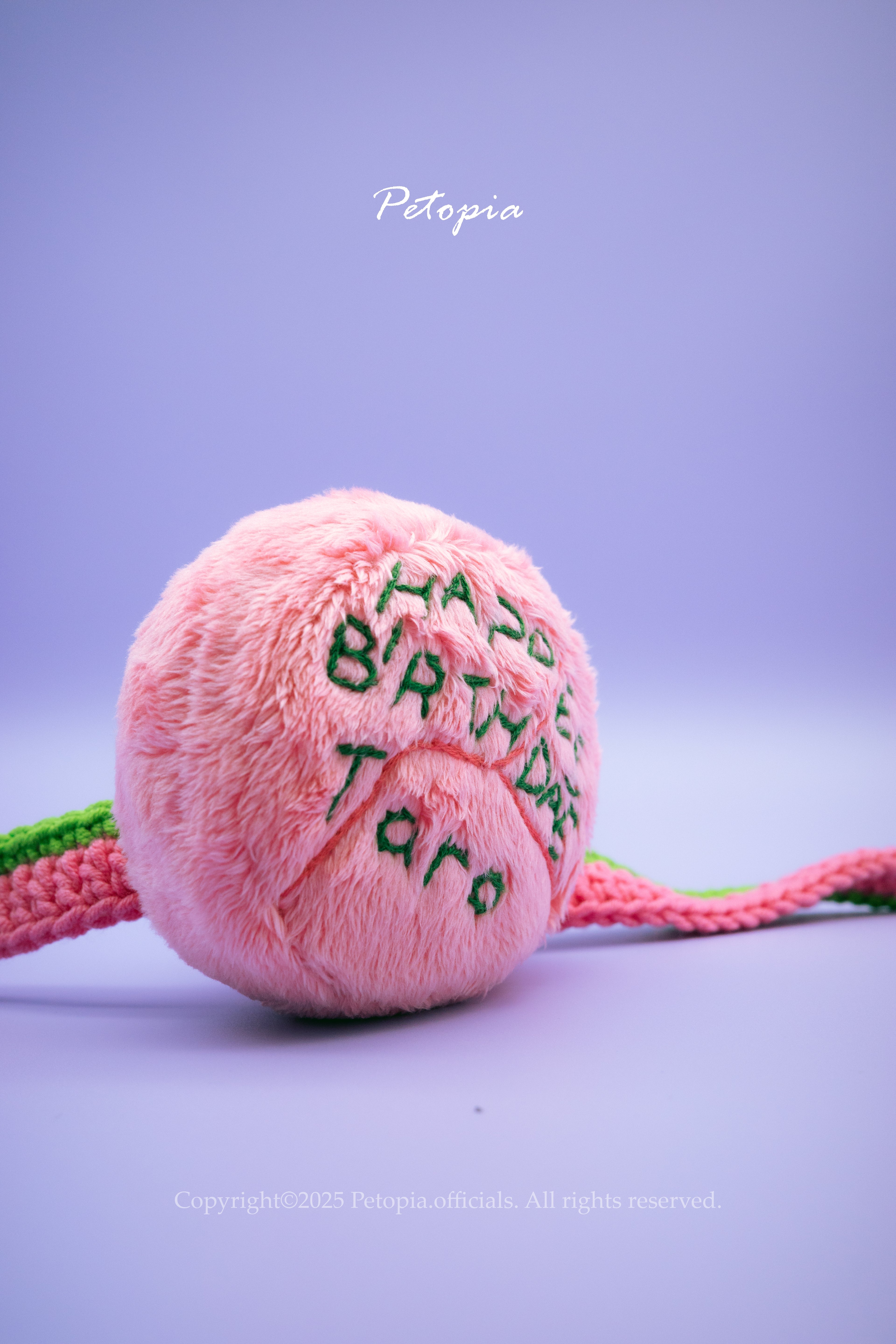 Pawfect Cake & Wishes Bib