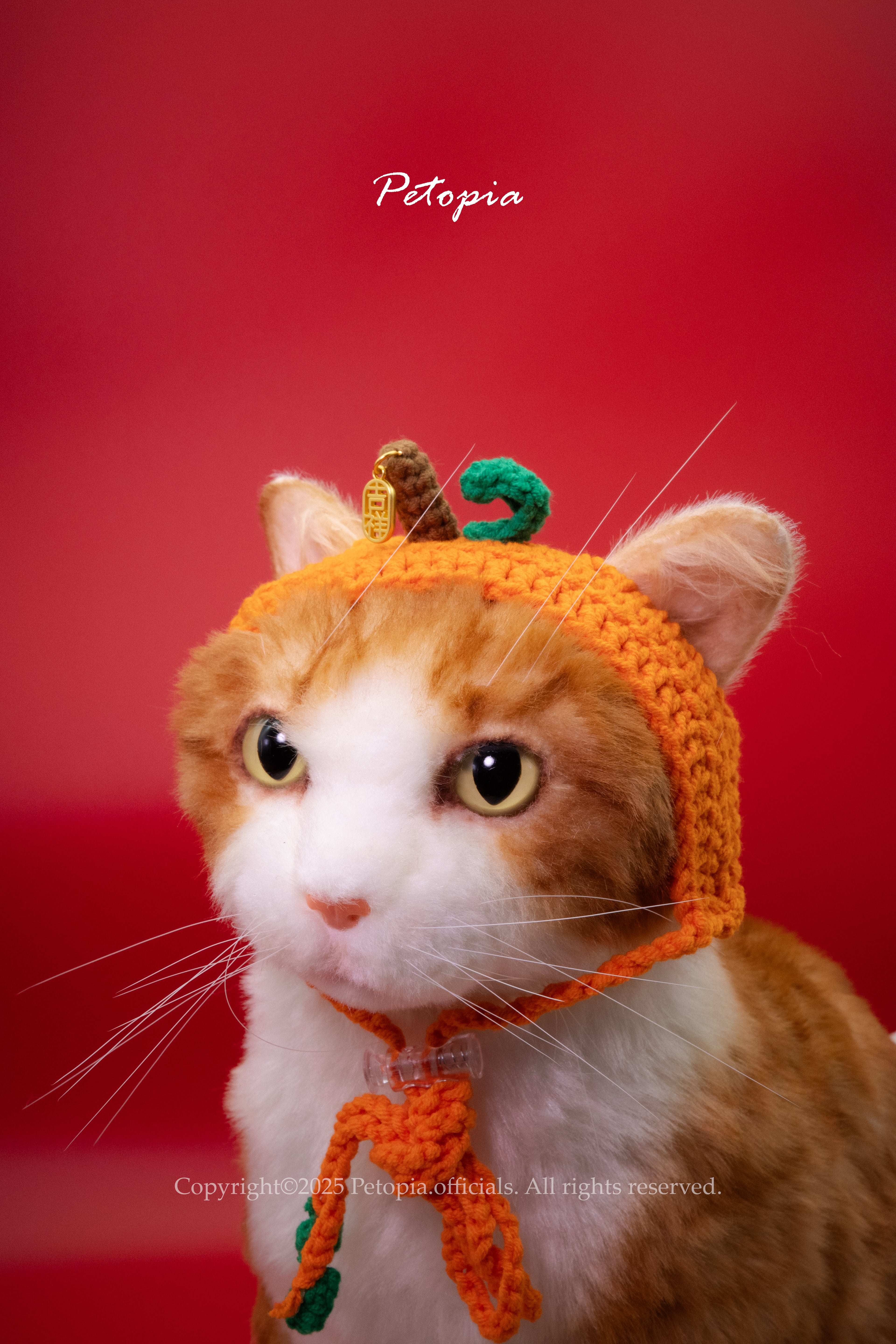 Lucky Blessing Clementine Hat