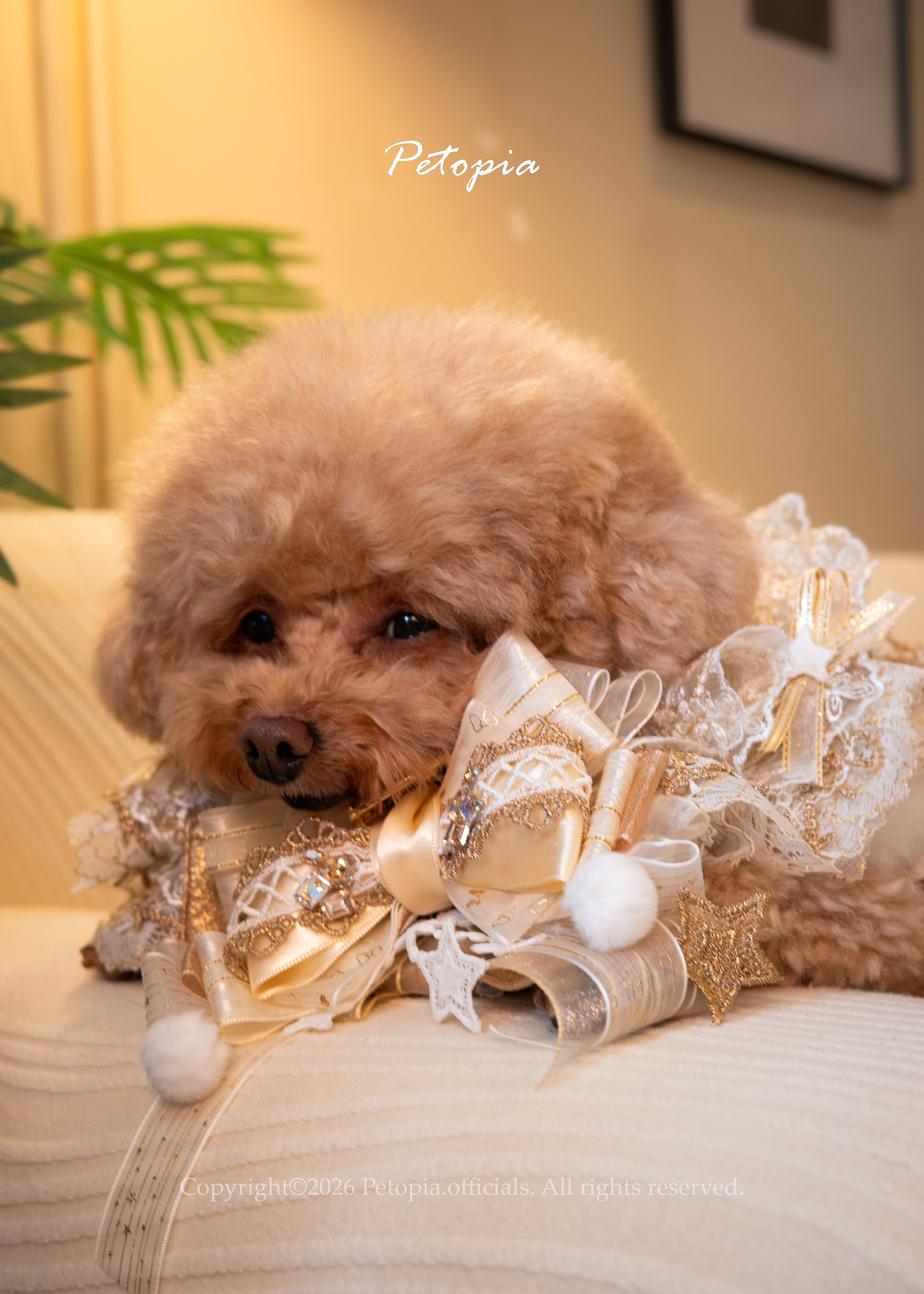 Golden Unicorn Jubilee